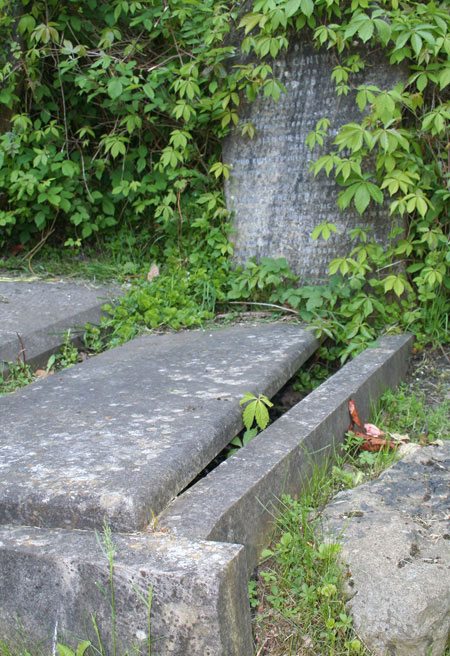 Picture 3 of Mysterious vampire in Highgate cemetery