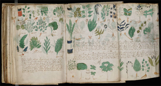 Picture 1 of Mysterious Voynich book
