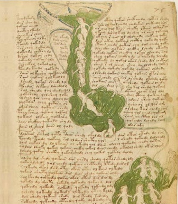 Picture 5 of Mysterious Voynich book