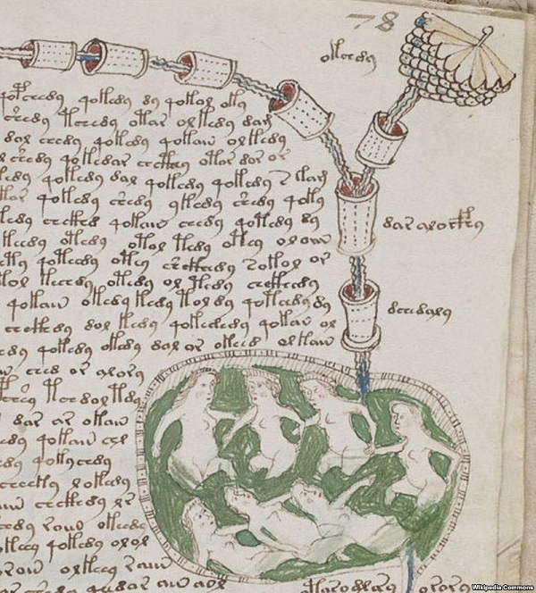 Picture 6 of Mysterious Voynich book