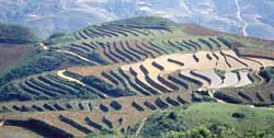 Picture 2 of Mystery around the ancient stone of Sapa - Vietnam