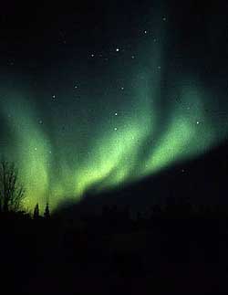 Picture 3 of Mystery 'death valley' in Siberia