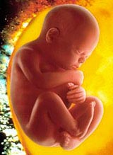 Picture 2 of Mystery of human formation