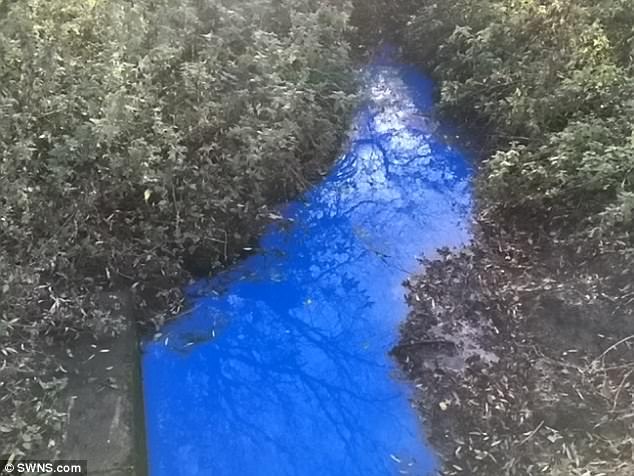 Picture 2 of Mystery of the strange river in England: Scientists still
