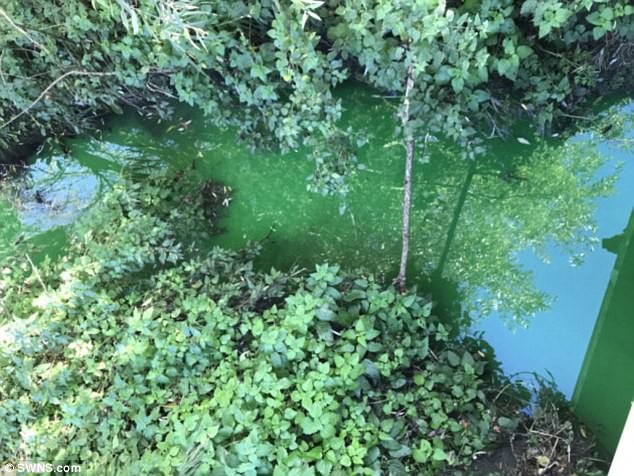 Picture 4 of Mystery of the strange river in England: Scientists still