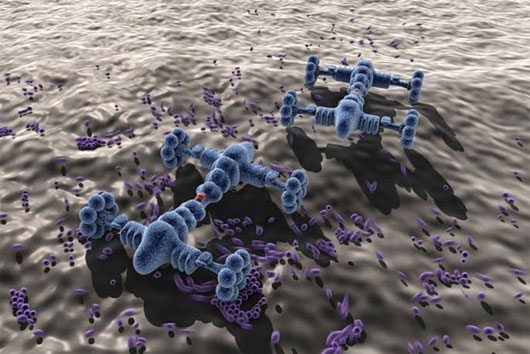Picture 1 of Nanobot implant into cockroach body, testing tumor treatment
