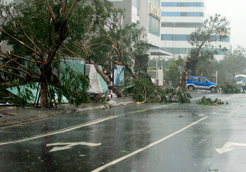 Picture 3 of Nari storm devastated the Central region