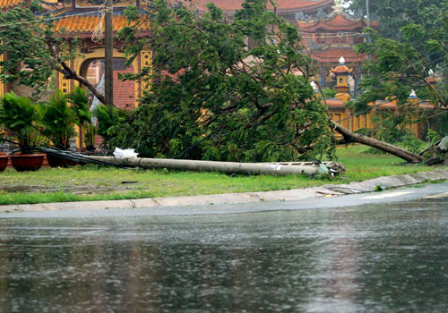 Picture 4 of Nari storm devastated the Central region