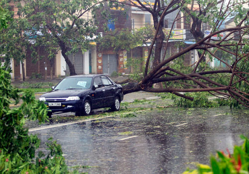 Picture 6 of Nari storm devastated the Central region