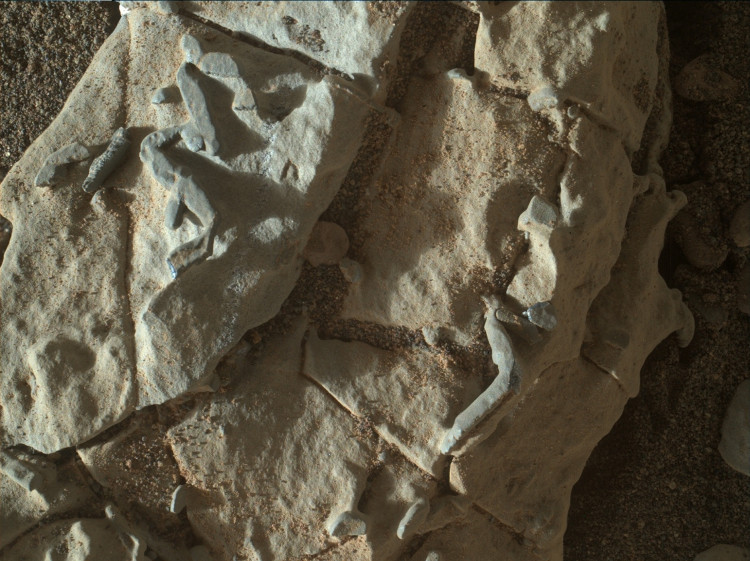 Picture 1 of NASA discovered rod-shaped objects on Mars