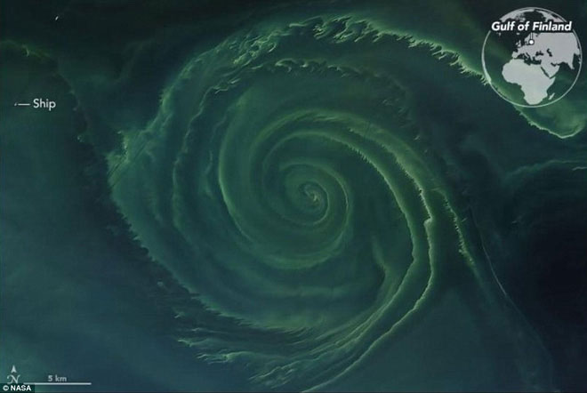 Picture 1 of NASA discovered the giant