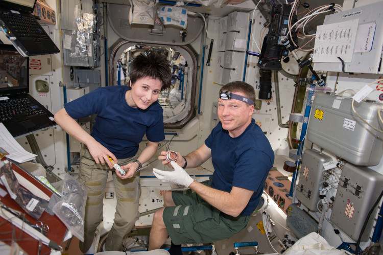 Picture 2 of NASA set up new berths on the space station for visitors