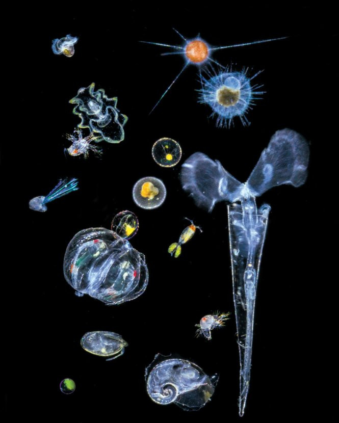 Picture 2 of NASA space station uses Laser ocean exploration