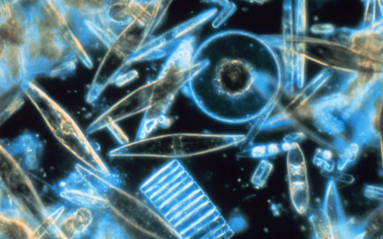 Picture 3 of NASA space station uses Laser ocean exploration