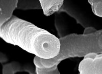 Picture 1 of NASA uses Vietnam's nano tube carbon as a spacecraft shell