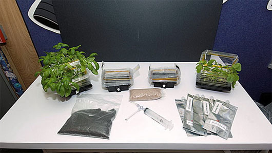 Picture 1 of NASA will plant trees on the moon
