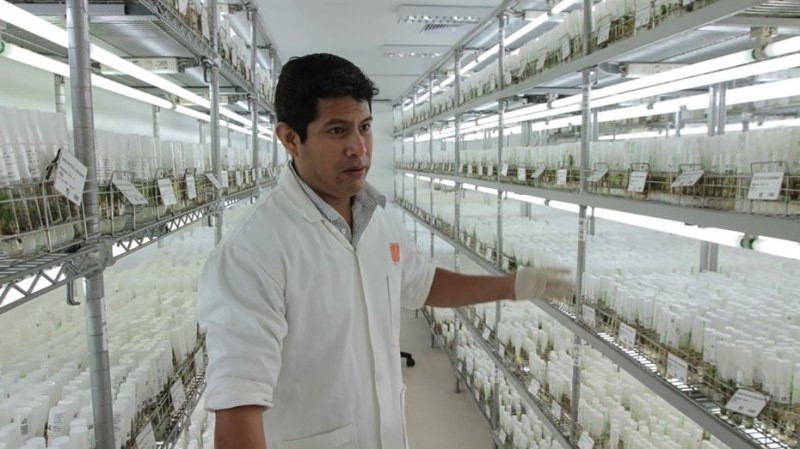 Picture 1 of NASA's plan to plant potatoes on Mars