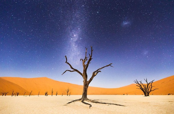 Picture 10 of National Geographic announced the most impressive photos of 2015