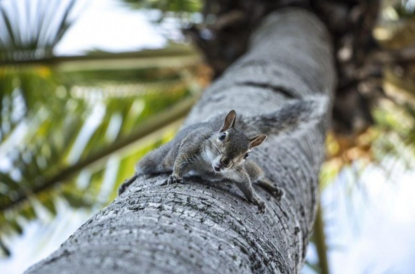 Picture 11 of National Geographic announced the most impressive photos of 2015