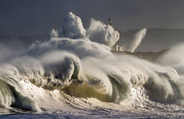 Picture 17 of National Geographic announced the most impressive photos of 2015