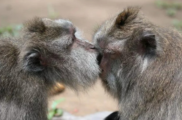 Picture 18 of National Geographic announced the most impressive photos of 2015