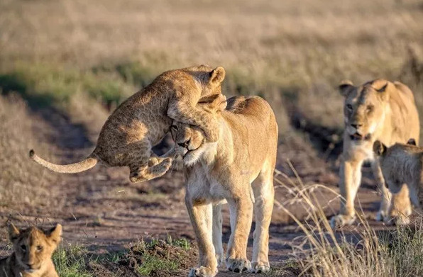 Picture 7 of National Geographic announced the most impressive photos of 2015
