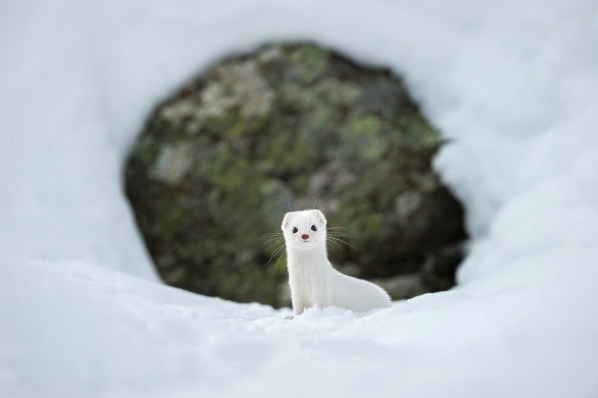Picture 12 of National Geographic top 20 Photo of The Day 2015