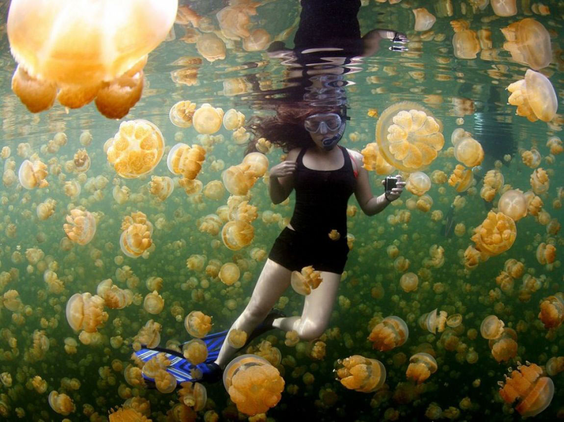 Picture 17 of National Geographic top 20 Photo of The Day 2015