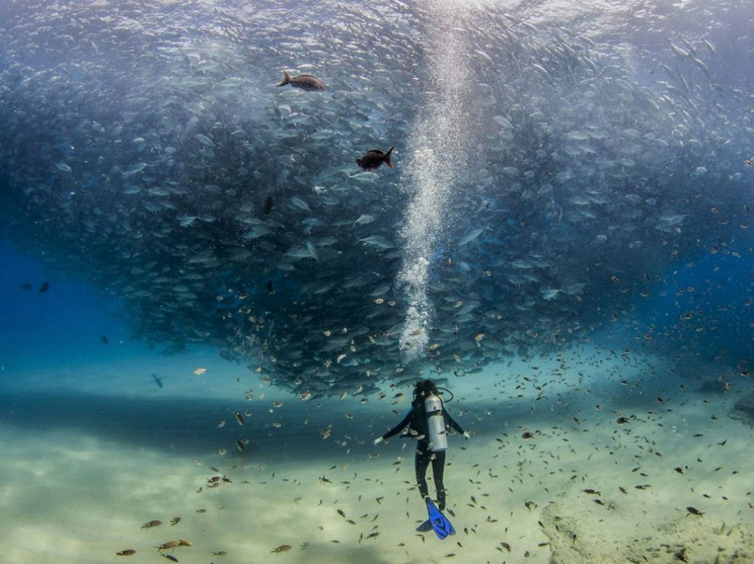 Picture 18 of National Geographic top 20 Photo of The Day 2015