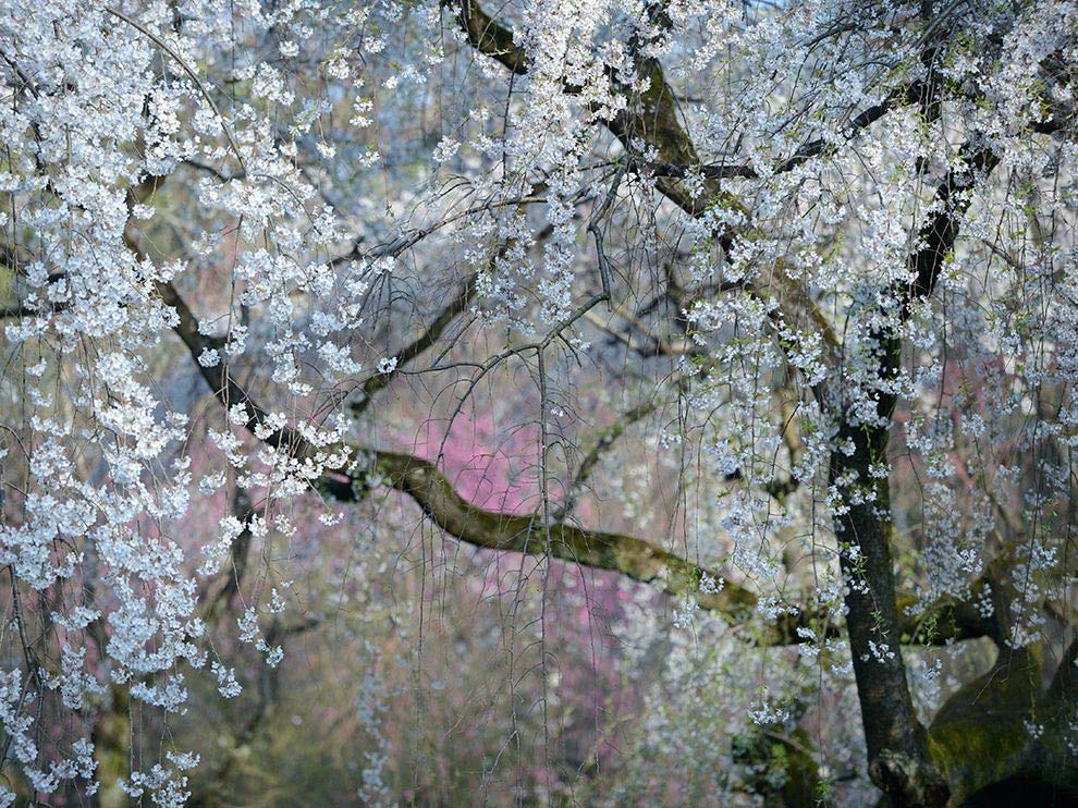 Picture 19 of National Geographic top 20 Photo of The Day 2015