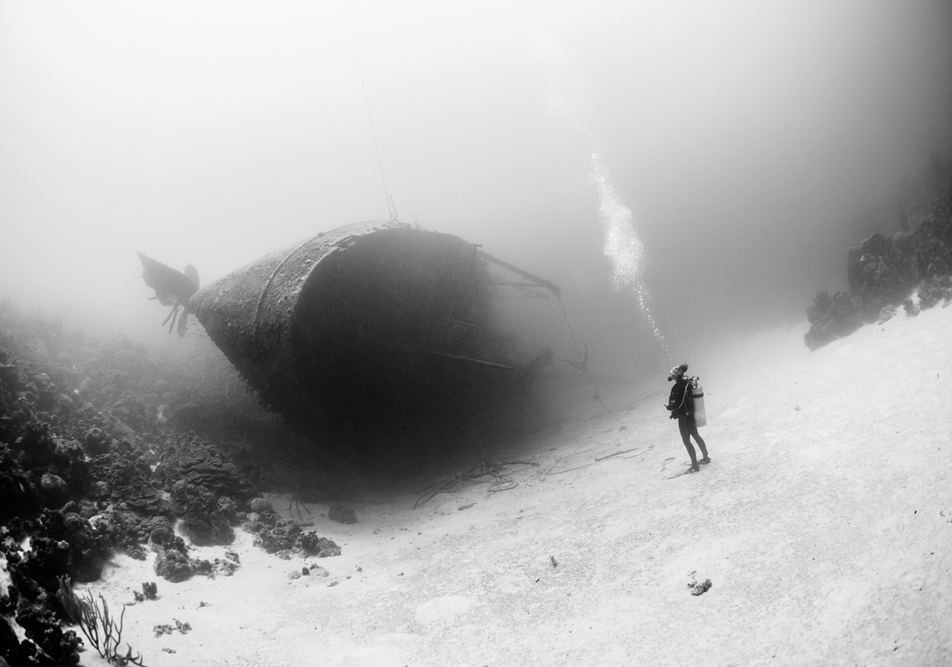 Picture 20 of National Geographic top 20 Photo of The Day 2015