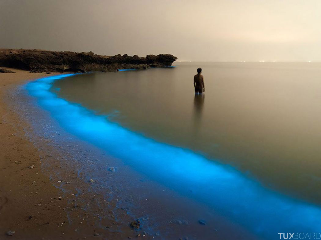 Picture 8 of National Geographic top 20 Photo of The Day 2015