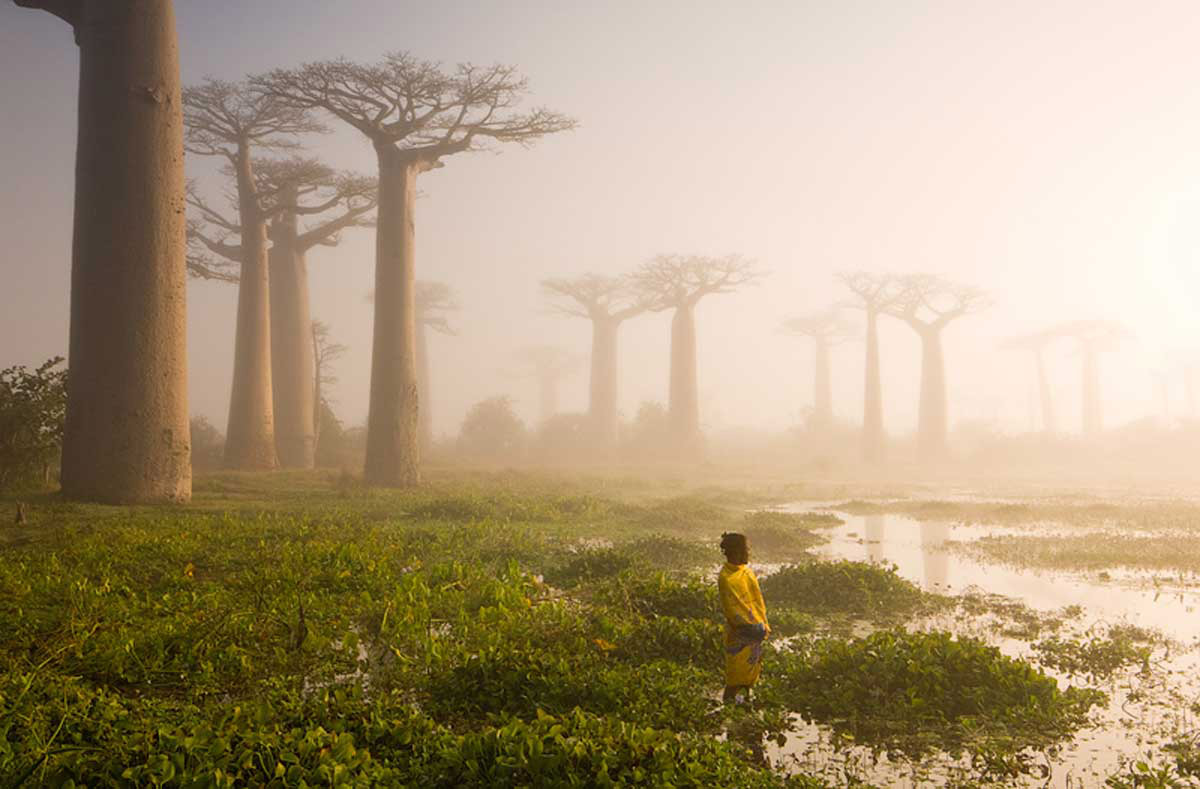 Picture 9 of National Geographic top 20 Photo of The Day 2015
