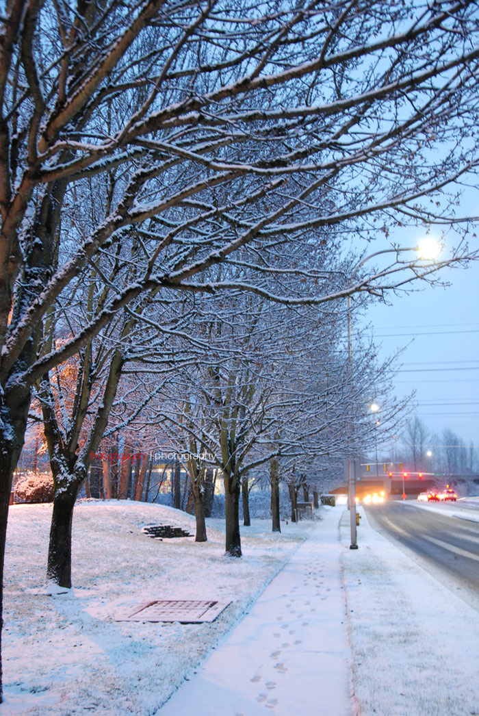 Picture 10 of Natural beauty of four seasons in Washington state