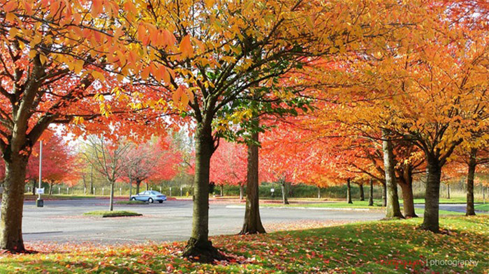 Picture 6 of Natural beauty of four seasons in Washington state