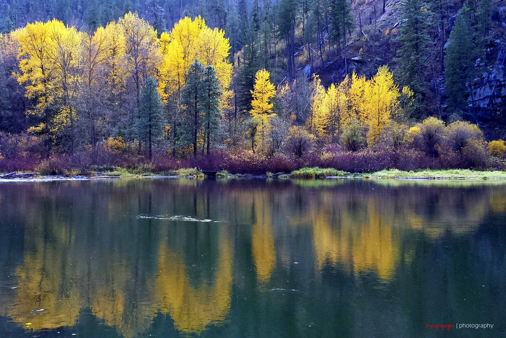 Picture 7 of Natural beauty of four seasons in Washington state