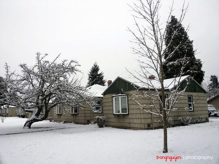 Picture 9 of Natural beauty of four seasons in Washington state