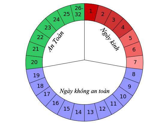 Picture 2 of Natural contraception by calculating ovulation days