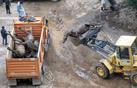 Picture 8 of Natural disaster in 2008 through photos