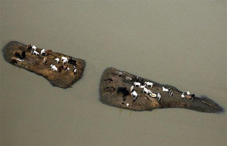 Picture 9 of Natural disaster in 2008 through photos
