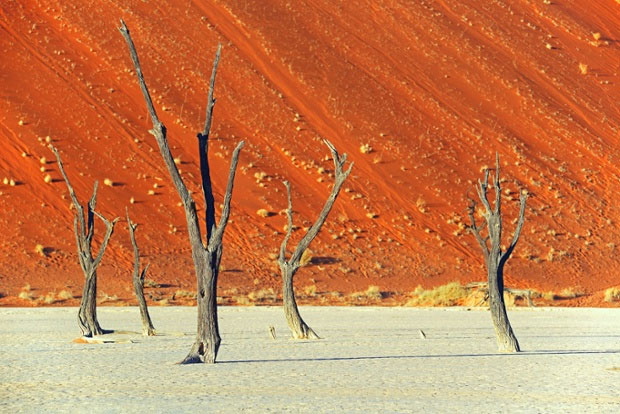Picture 12 of Natural landscapes are colorful