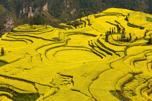 Picture 8 of Natural landscapes are colorful