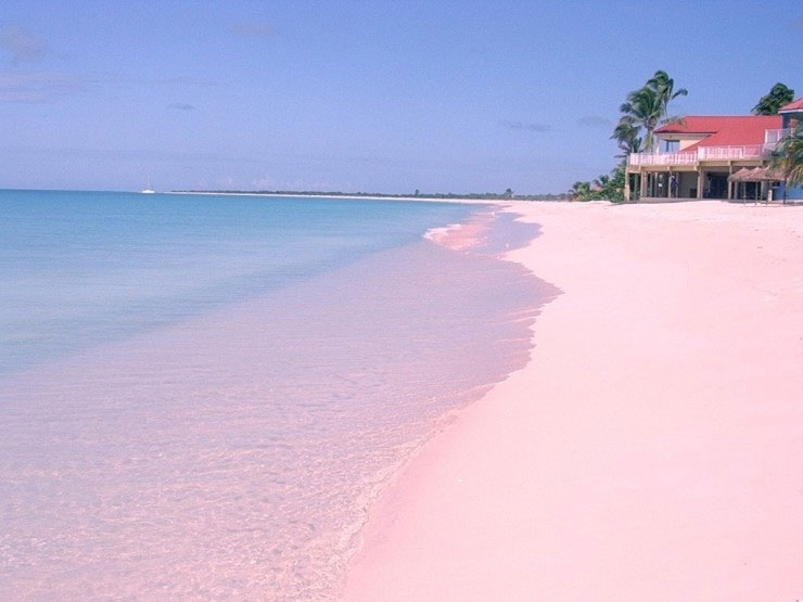 Picture 5 of Natural pink sand coast in Bahamas