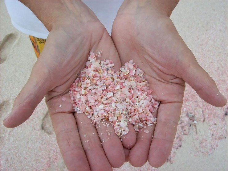 Picture 6 of Natural pink sand coast in Bahamas