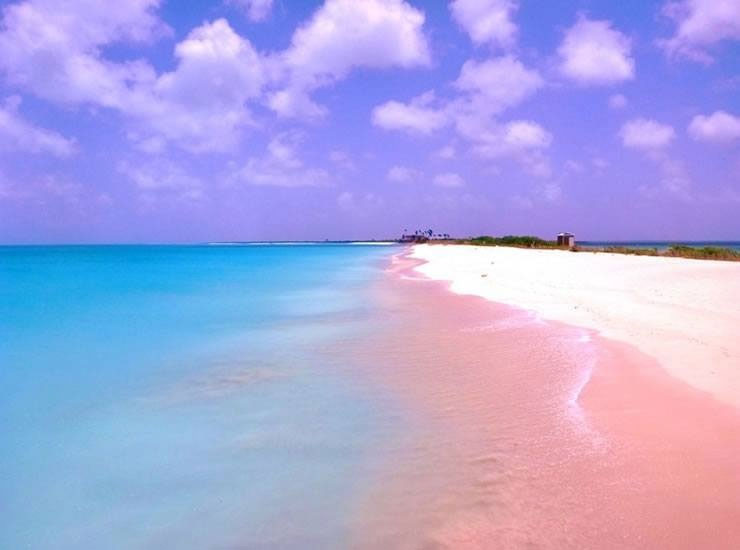 Picture 7 of Natural pink sand coast in Bahamas