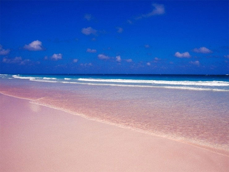 Picture 9 of Natural pink sand coast in Bahamas