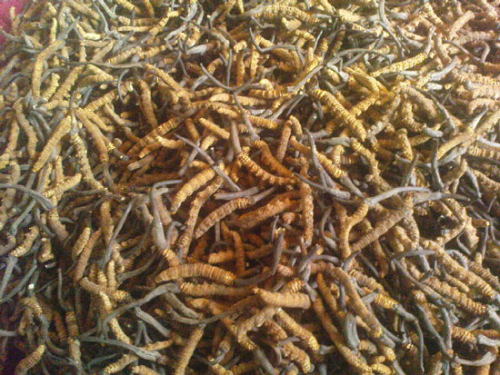 Picture 1 of 'Natural Viagra' is about to run out