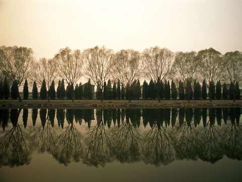 Picture 2 of Nature in the lake