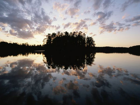 Picture 3 of Nature in the lake
