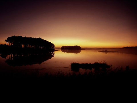 Picture 9 of Nature in the lake